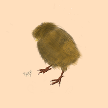 Ilustração científica . Un progetto di Illustrazione tradizionale di Tyler Sawinsky - 22.03.2020