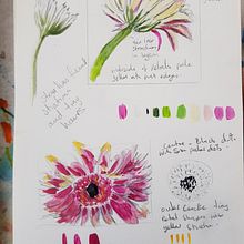 Watercolour practice. Un proyecto de Pintura a la acuarela de Jo Turner - 23.03.2020