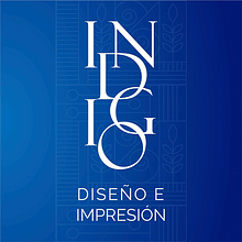 Proyecto del curso - INDIGO. Digital Marketing project by Kristopher Solache - 04.02.2020