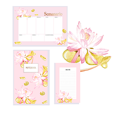 Mi Proyecto del curso: Ilustración botánica con acuarela. Un proyecto de Ilustración botánica de aurasantos26 - 24.03.2020