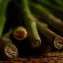 Esparragos. Projekt z dziedziny Fotografia kulinarna użytkownika Cecilia Luna - 27.01.2020