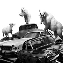 Migration. Collage, Digital Photograph, and Fine Arts project by Nick Pedersen - 03.26.2020