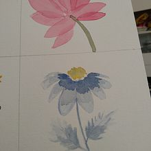 Aprendiendo acuarela botánica 1. Un proyecto de Bellas Artes, Creatividad e Ilustración botánica de paulibloom - 26.03.2020