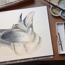 Animalario.. Un proyecto de Ilustración tradicional de Isabel Arranz - 27.03.2020