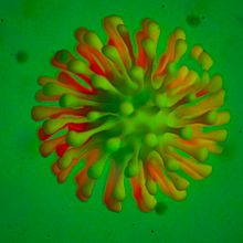 Hey Covid-19, F**K YOU. Un progetto di 3D, Animazione 3D, Arte concettuale, Progettazione 3D, DIY, Modellazione 3D e Motion graphics di Sánchez Cajal - 27.03.2020
