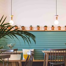 El Curry Verde by Hiruki studio. Architecture project by Lo Txu - 03.27.2020