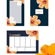 Mi Proyecto del curso: Ilustración botánica con acuarela. Botanical Illustration project by Justyna Sierpinska - 03.30.2020