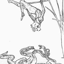 Illustrations for Coloring book. Un progetto di Belle arti, Artigianato, Fumetto, Creatività, Disegno, Disegno a matita, Disegno artistico, Disegno di ritratti, Disegno realistico, Educazione, Illustrazione tradizionale, Pittura, Pittura ad olio, Pittura acrilica, Pittura digitale e Pittura ad acquerello di Micaela Jarast - 30.03.2020