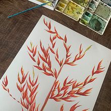 Flor de Bromélia. Un progetto di Br, ing, Br e identit di Magu Atala - 31.03.2020