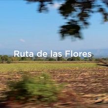 Ruta de Las Flores. Un progetto di Video editing e Postproduzione fotografica di Oscar Orellana - 31.03.2020