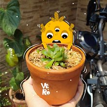 Monstruo #plants. Drawing, Artistic Drawing, Digital Drawing, Design, Character Design, and Traditional illustration project by Verónica Rodríguez - 03.31.2020