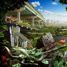 Sanctuary. Collage, Digital Photograph, and Fine Arts project by Nick Pedersen - 04.01.2020