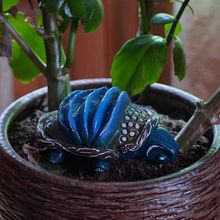 Turtle Accordion - Art Toy Final Project . Un progetto di Art to di Natércia Lameiro - 01.04.2020