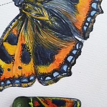 Butterflies . Lukisan Cat Air proyek oleh Julie Warrington Morrow - 04.01.2020