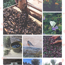 My project in Introduction to Personal Storytelling course. Communication, Traditional illustration, Photographic Composition, Stor, telling, and Writing project by Phoebe Katherine Hunter - 04.01.2020