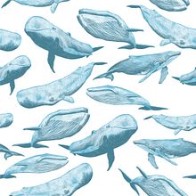 Whales. Traditional illustration, and Pattern Design project by Gloria CaRo - 03.20.2020