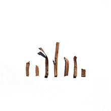 COVID-Trash. Fine Arts, Creativit, Design, and Graphic Design project by Joan Maria Roig Ortiz - 04.03.2020