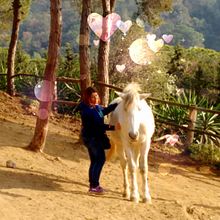 Mi Proyecto del curso: Introducción al storytelling personal. Stor, e telling projeto de sbb2409 - 09.04.2020