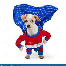 Mi proyecto: Aplicacion Super Perros - Albergue de perros. Un proyecto de Creatividad de carlos_179727 - 03.04.2020