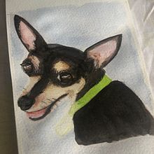 Mi Proyecto del curso: Técnicas experimentales de acuarela para principiantes . Watercolor Painting project by Abril Dione Badillo del Ángel - 04.10.2020