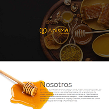 ApisMel Colombia. Web Development, Design, and Web Design project by Jonnathan Ortiz - 04.01.2020