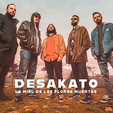 Desakato. Web Development, and Web Design project by Diego Ruano Vicente - 03.27.2020