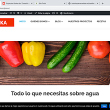 Mi Proyecto del curso: Creación de una web profesional con WordPress. Creativit project by David Sola Asensio - 04.04.2020