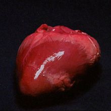 CHLÖE'S CLUE · Quémame. Un proyecto de Dirección de arte, Escenografía y Vídeo de Estudio Margen - 04.04.2020