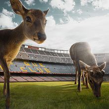 Mi Proyecto del curso: Fotomontaje surrealista con Photoshop . Un proyecto de Dibujo digital, Diseño gráfico y Fotografía digital de Juanma Muñoz Estrada - 05.04.2020