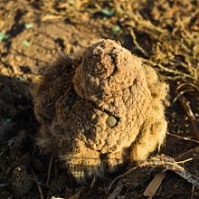 Objetos que yacen en el Olvido.. Photograph project by Héctor Escobar Soto - 03.31.2020