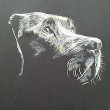 Ilustración con pastel y lápices de colores, sobre cartulina negra. Un proyecto de Ilustración tradicional de Paco Ruiz - 06.04.2020