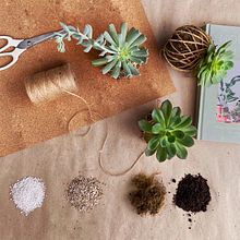 Sustrato para Kokedamas - @metricahome. Un progetto di Fotografia con smartphone di Sofia Huespe - 06.04.2020