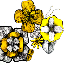Flores amarillas. Un proyecto de Ilustración botánica de Salud Tortajada - 31.12.2018