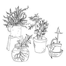 #yomequedoconmisplantas para colorear. Een project van Digitale tekening, Traditionele illustratie,  Botanische illustratie y Digitale illustratie van Iratxe González - 07.04.2020