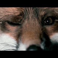 Demo Reel. Un progetto di Animazione 2D, Motion graphics e VFX di Alixe Lobato - 18.03.2020