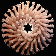 Mi Proyecto del curso:  Animación 3D para no animadores con Cinema 4D. 3D, Animation, and 3D Animation project by Oscar Ricardo Romero Ruiz - 04.08.2020