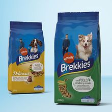 BREKKIES. Br, ing, Identit, Art Direction, Design, Graphic Design, Packaging, Advertising, and Photo Retouching project by Adalaisa Soy - 12.20.2017