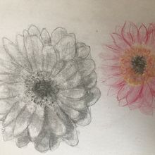 Bocetos experimentar con acuarela. Drawing project by Romina Tapia - 04.09.2020