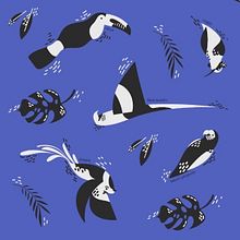 Panama Birds. Traditional illustration, and Pattern Design project by Natalia Tertusio - 04.09.2020