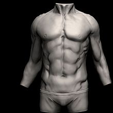 Anatomy Practice . 3D, animasi 3D, Dan pemodelan 3D proyek oleh Jordi Ros Torrents - 04.10.2020