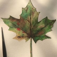 Inicio en botánica. Un proyecto de Dibujo a lápiz y Pintura a la acuarela de Mara Komukai - 11.04.2020