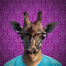 Giraffe. Un proyecto de Arte urbano, Collage, Diseño digital y Fotografía de IVAN IBARRA - 11.04.2020