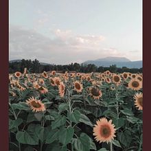 Mi Proyecto del curso: Creación y edición de contenido para Instagram Stories. Un progetto di  di Ele GL - 11.04.2020