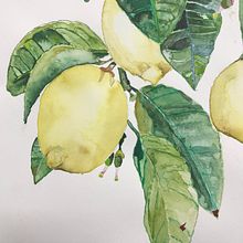 My project in Botanical Illustration with Watercolors course. Ilustração botânica projeto de Ozlem Ertaylan - 11.04.2020