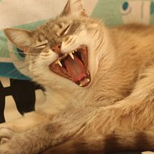 Confianados: reflexiones a través del objetivo . Fotografie digitală de rauldominguezllauro - 04.29.2020