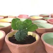 Mi Proyecto del curso: Cerámica creativa: da forma a tus ideas con una técnica artesanal. Ceramics project by Berta Vilaseca - 04.12.2020