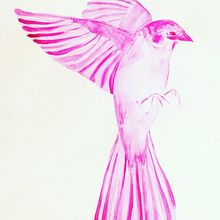 Animalario Acuarela. Un proyecto de Bellas Artes, Bocetado, Dibujo, Dibujo artístico, Dibujo realista e Ilustración tradicional de Eva Méndez DoRoxo - 14.04.2020
