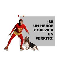 ¡Sé un héroe y salva a un perrito!. Marketing project by Canek Moreno Peña - 04.15.2020