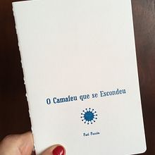 O Camafeu que Escondeu. Un proyecto de Ilustración infantil de Pati Peccin - 15.04.2020