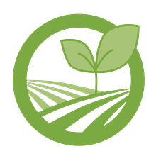 Diseño Logotipo - "Ecoplant". Br, ing & Identit project by Edith Llop Roselló - 04.16.2020